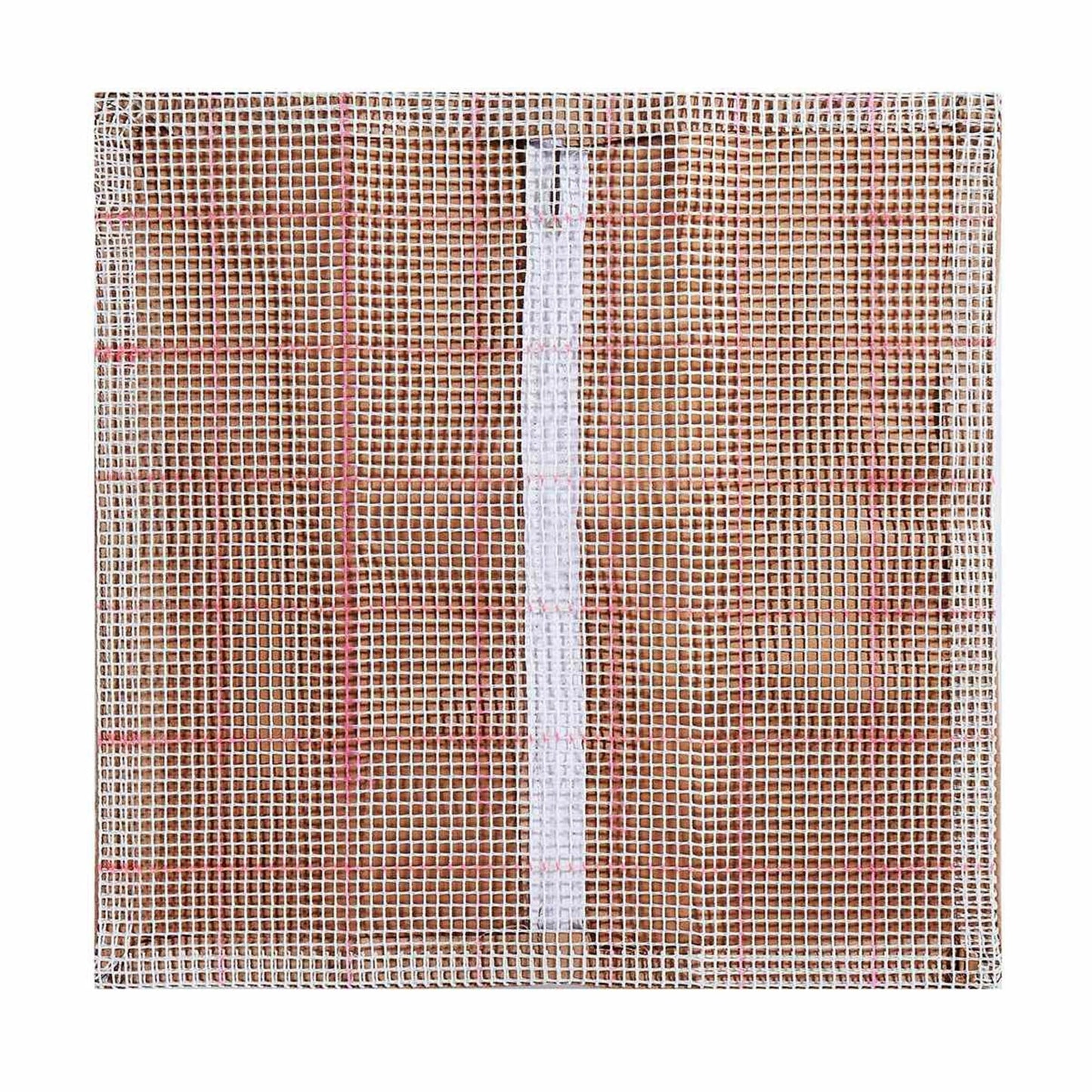 Big Ladybug Latch Hook Rug Crocheting Knitting Kit